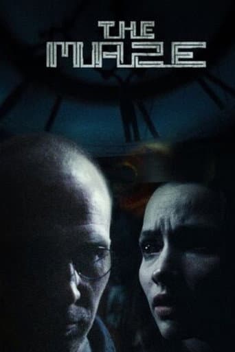 The Maze poster