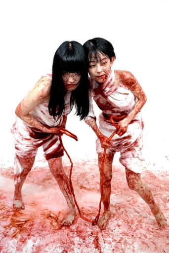 2 Girls 1 Gut poster