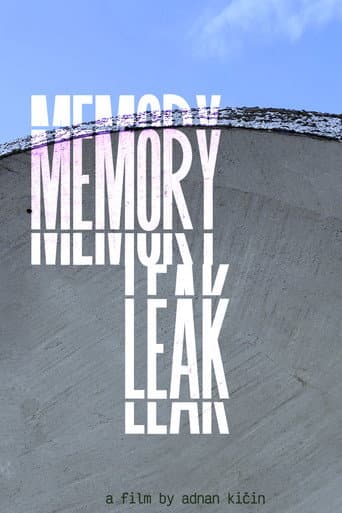Memory Leak poster