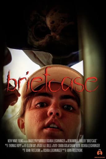 Briefcase poster