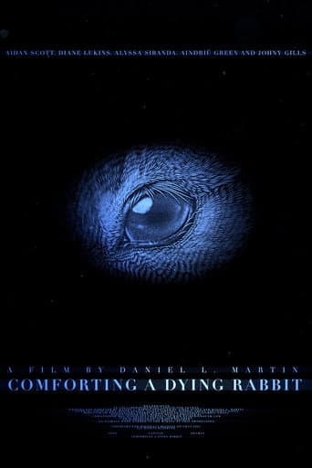 Comforting A Dying Rabbit poster