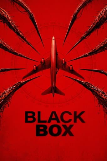 Black Box (Flight 298) poster