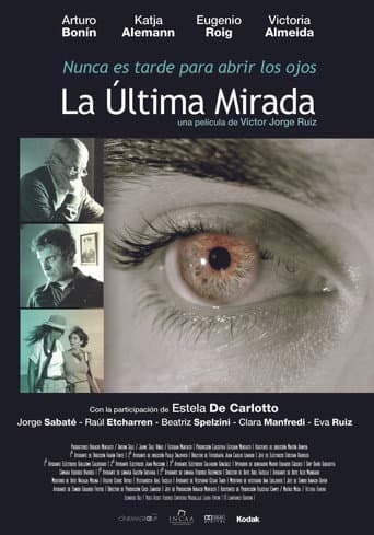 The Last Look poster