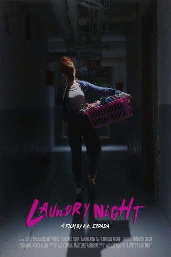 Laundry Night poster
