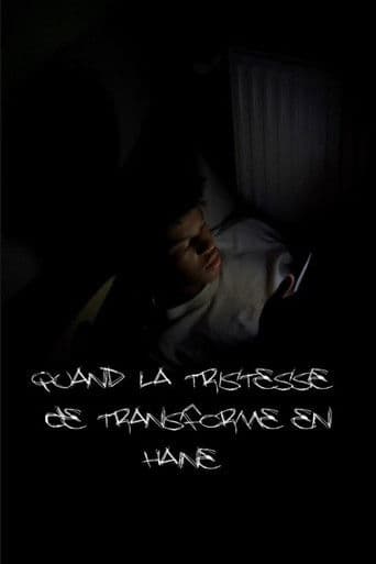 Quand la tristesse se transforme en haine poster