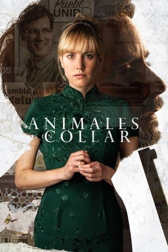 Unbridled poster