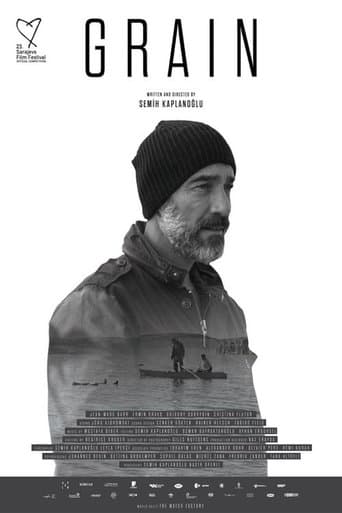 Buğday poster