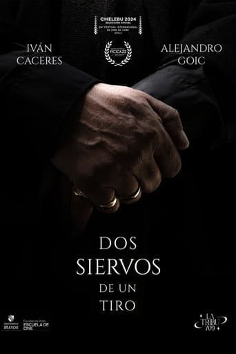 TWO SERVANTS. ONE STONE poster