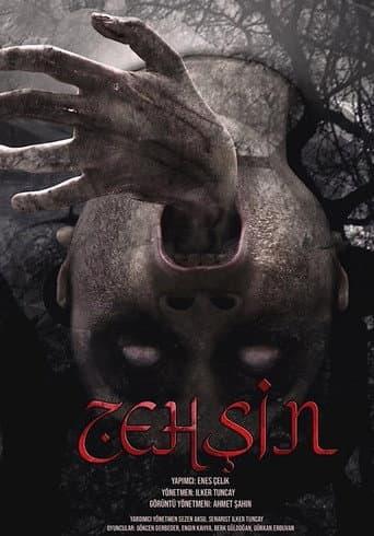 Zehşin Cin-i Musallat poster