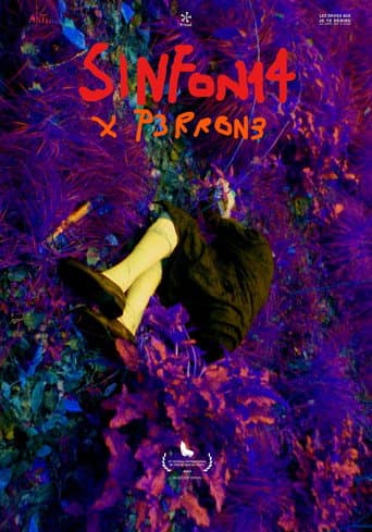 SINFON14 poster