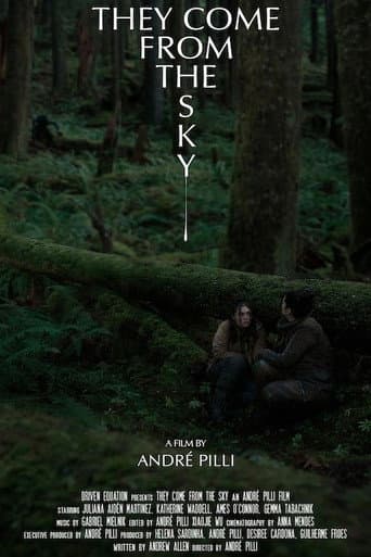 They Come From the Sky poster
