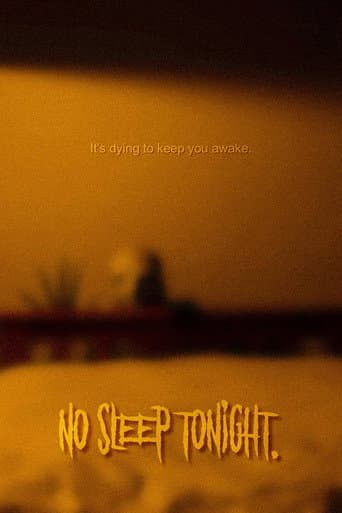 No Sleep Tonight poster
