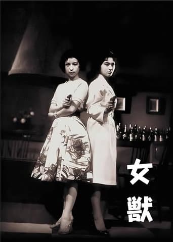 Female Detective poster