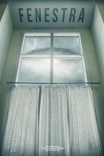 Fenestra poster