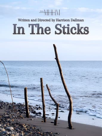 In The Sticks poster