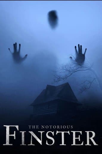 The Notorious Finster poster