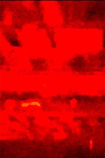 Where I Buried Him poster