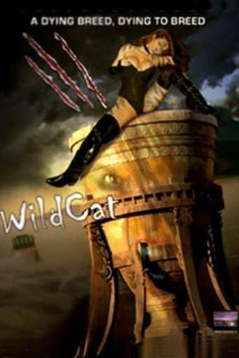 WildCat poster