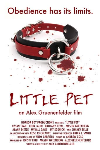 Little Pet poster