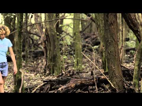 BUTTERFLY (Mariposa) by Marco Berger - EXCERPT
