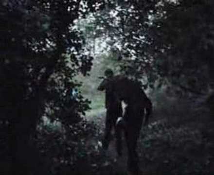 Dark Woods