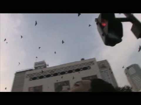 Trailer:『occult』