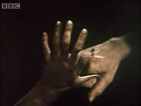 Late Night Horror 1968   original
