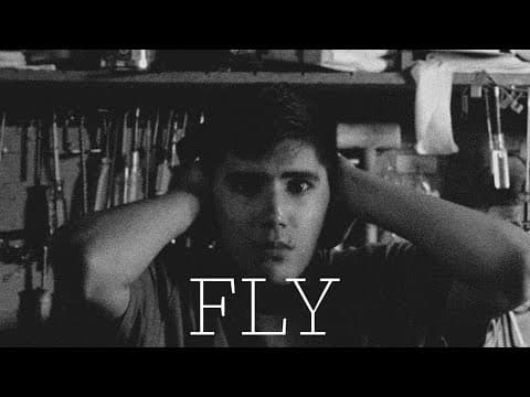 Fly (Second Edit)