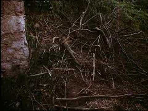 Trancers 4 Trailer