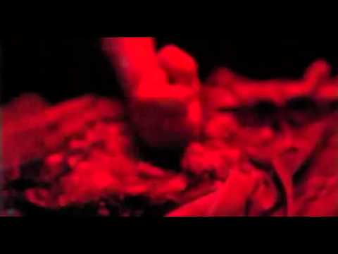 Detour Trailer