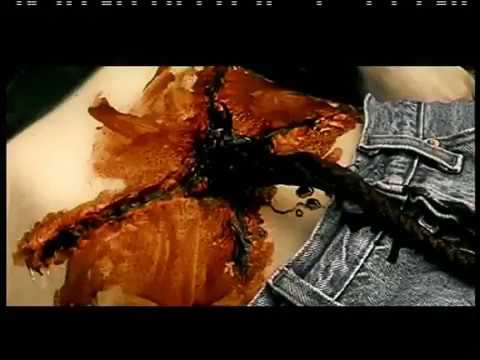 Projekt Fleisch