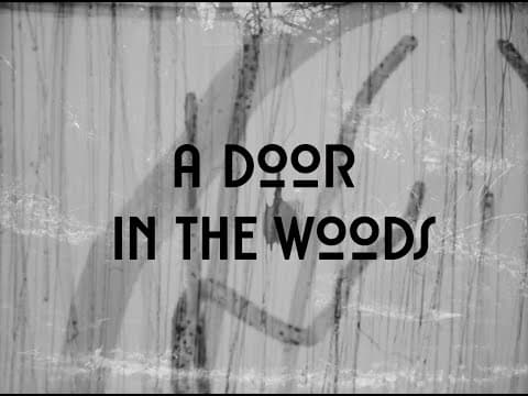A Door in The Woods (2022 Experimental Short)