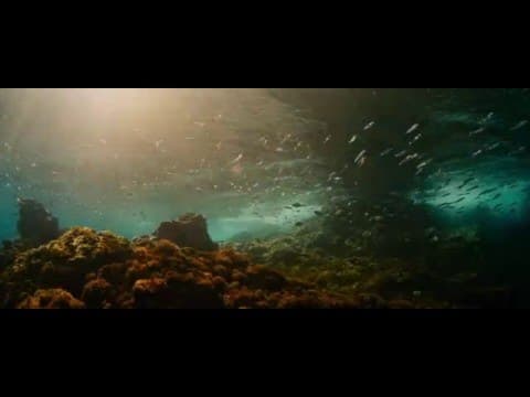 Official UK Trailer