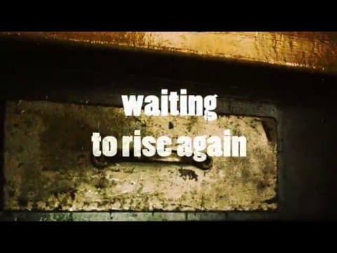 TRAILER TRAUMA trailer