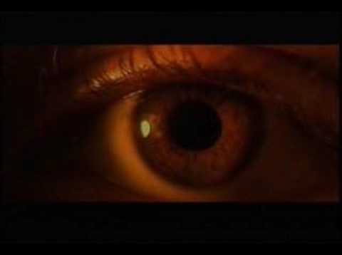 Small Gauge Trauma (2006) DVD Promotional Trailer