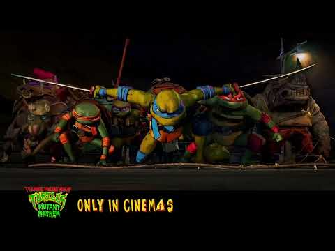 It's turtle-y awesome!