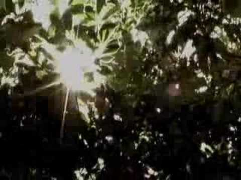Saint Francis the Movie Exclusive Clip