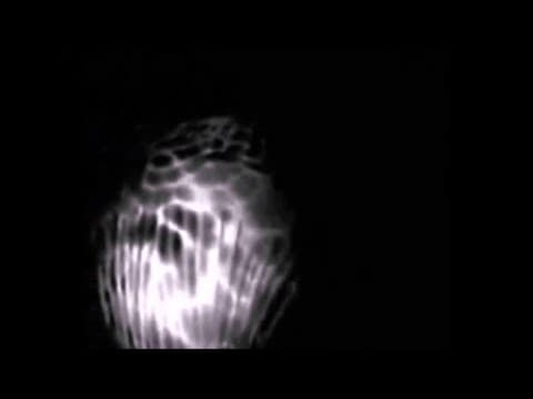 Ashbel - Out (Official Music Video)
