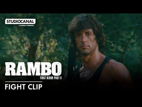 Fight Clip