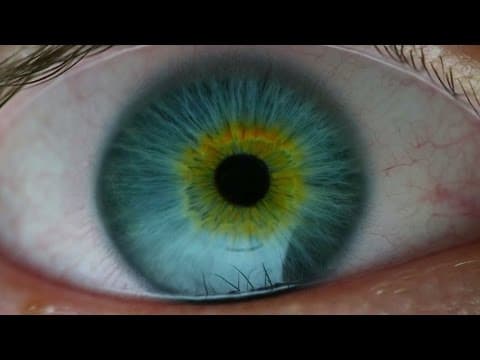 I AM THE DOORWAY - Official Trailer (2017)