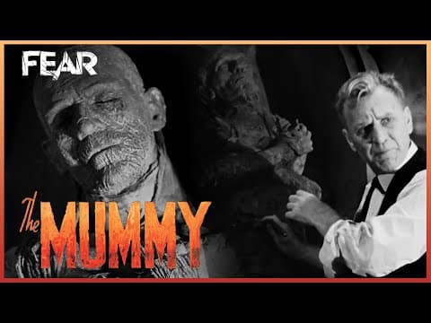 The Curse Of Imhotep Is Revealed