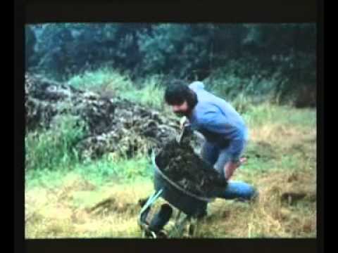 AFTERMAN TRILOGY - AFTERMAN AS A SLAVE