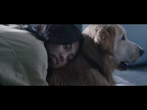 INVISIBLE EVIDENCE Official Int'l Teaser Trailer