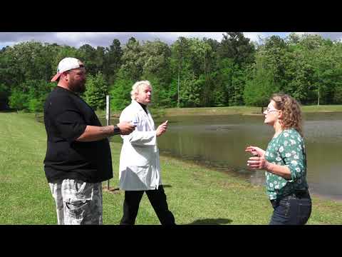 GAGGLE trailer