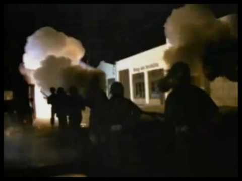 Attack of the Killer tomatoes! extended version