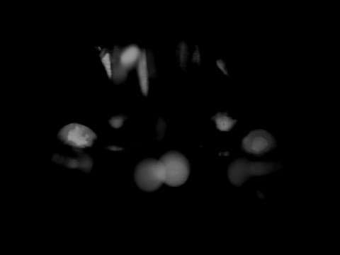 A Man Walking Backwards and Forwards (Short Film)