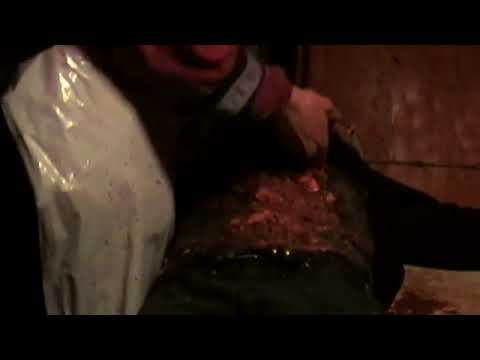 KroppTown BackDoorStorys - German Gore Scene (Toxic Filth Video)