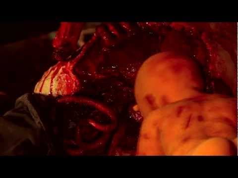The Biker Warrior Babe Vs. The Zombie Babies From Hell Trailer