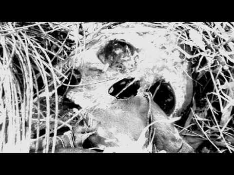 Traces of Gore 2 trailer